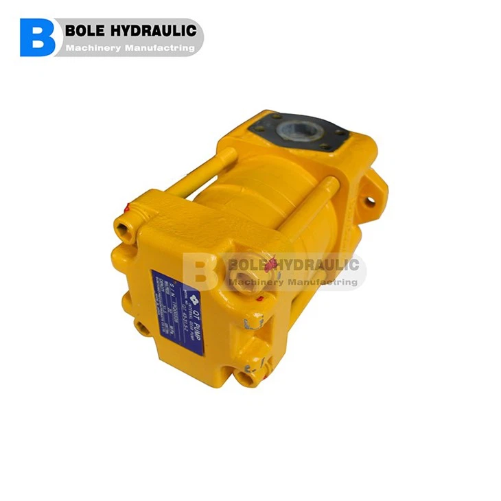 Gear Pump 115L-BI-4H3-4P-20BSP20-250